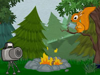 play  Cam The Camera
