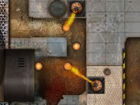 play Last Flower Defence