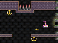 play Princess Tower