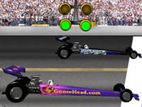 play  Goose Head Race 2