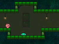 play  Pigdream