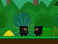 play  Hidden Valley Ninja