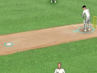 play Just Not Cricket