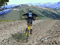 play 3D Mountain Bike