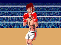 play  Punchout