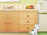 play  Net Pet