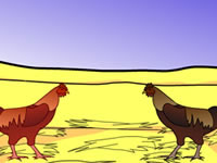 play  Cock Fighters
