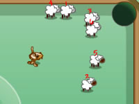 play  Sheep Pool