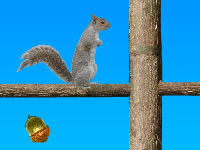 play  Acorn Toss