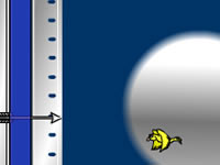 play  Bird Kill