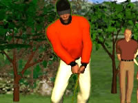 play  Tiger Grand Slam Golf