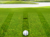 play Golf Putt Champion