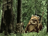 Ewok Annihilation