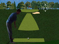 play Flashgolf