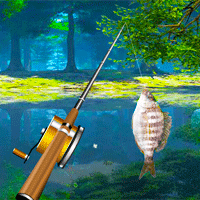 play Forest Lake Fishing