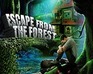 play Escape From Forest