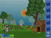 play Raccoons Adventure