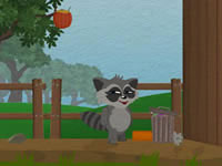 Raccoon'S Adventure