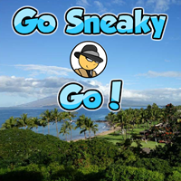 play Go Sneaky Go