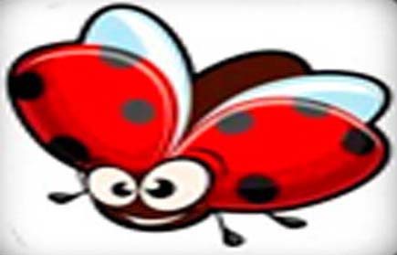 play Beetle Bob
