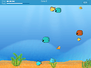 play Bobby The Fish