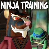 play Ninja Training
