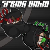 play Spring Ninja