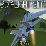 play 3D Flight Sim: Rings