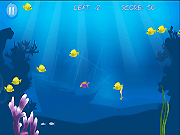 play Best Hungry Fish