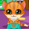 play Kitty Care 3