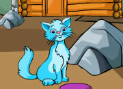 play Animal Escape