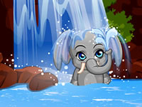 play Pet Stars - Funny Elephant