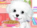 play Fluffy Puppy Pet Spa And Care