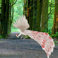 play Escape White Peacock