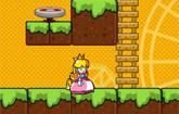 play Princess Peach Go Adventure