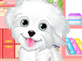 play Fluffy Puppy Pet Spa And Care