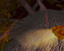 play Dragonfly Racer - Nightly