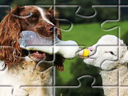 play Animal Puzzles