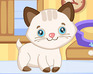 Cutie Pet Care 2