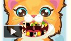 play The Cat Dentist