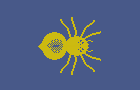 play Spider In A Dollhouse
