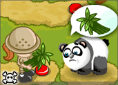 play Baby Zoo Panda
