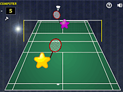 play Star Badminton