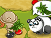 play Baby Zoo Panda