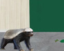 play Little Badger Room Escape