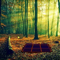 play Fall Escape