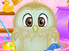 play Baby Owl Care