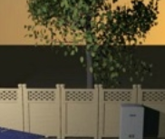 play Real World Escape 45 - Backyard Problems