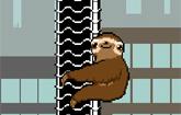 play Slippery Sloth