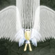 play Super Angel Wings